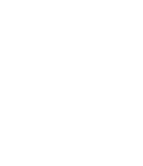 Wing of Illusion